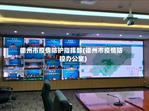 德州市疫情防护指挥部(德州市疫情防控办公室)-第2张图片