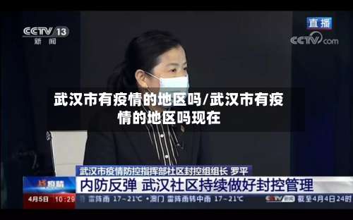 武汉市有疫情的地区吗/武汉市有疫情的地区吗现在-第1张图片