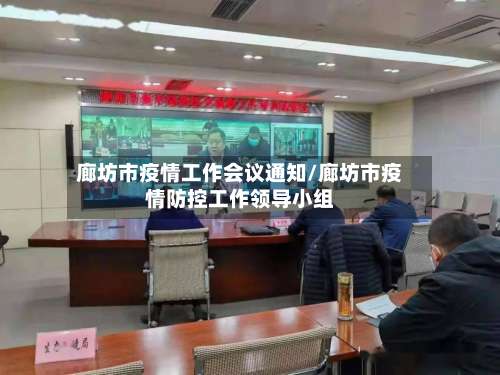 廊坊市疫情工作会议通知/廊坊市疫情防控工作领导小组-第2张图片