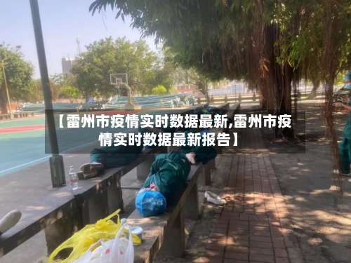 【雷州市疫情实时数据最新,雷州市疫情实时数据最新报告】-第1张图片