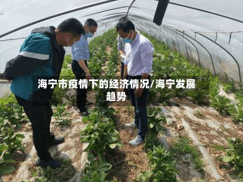 海宁市疫情下的经济情况/海宁发展趋势-第2张图片