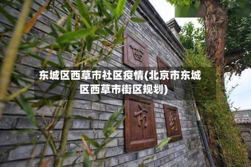 东城区西草市社区疫情(北京市东城区西草市街区规划)-第3张图片