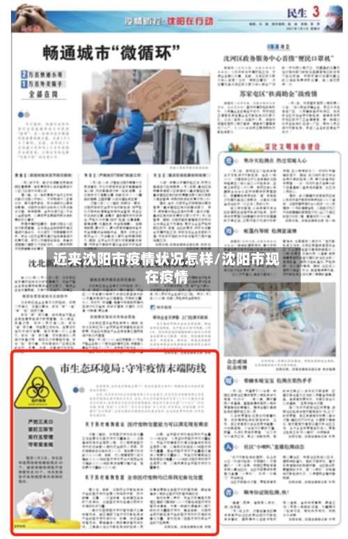 近来沈阳市疫情状况怎样/沈阳市现在疫情-第1张图片