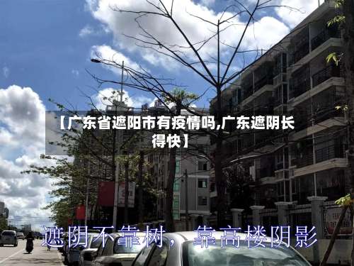 【广东省遮阳市有疫情吗,广东遮阴长得快】-第1张图片