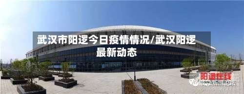 武汉市阳逻今日疫情情况/武汉阳逻最新动态-第1张图片