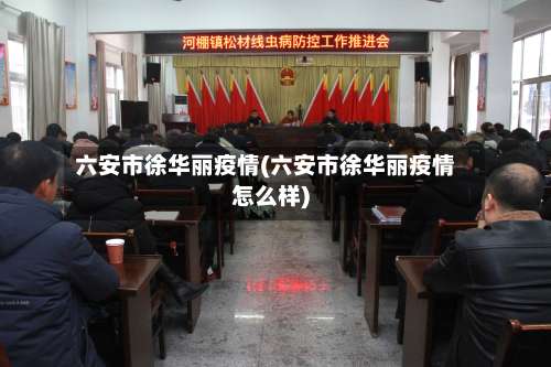 六安市徐华丽疫情(六安市徐华丽疫情怎么样)-第1张图片