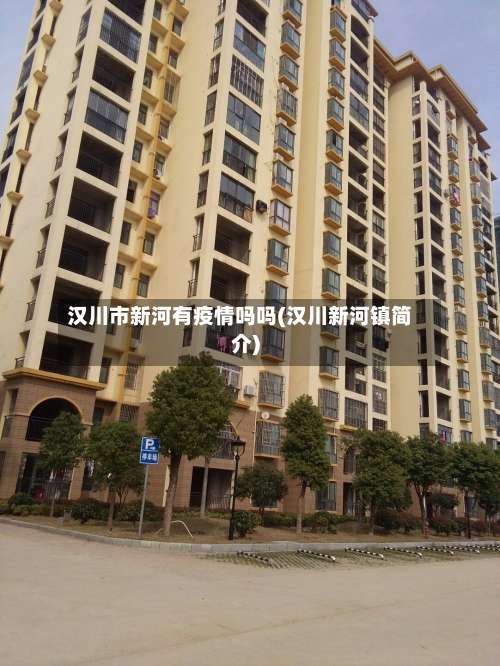 汉川市新河有疫情吗吗(汉川新河镇简介)-第1张图片