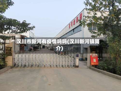 汉川市新河有疫情吗吗(汉川新河镇简介)-第2张图片