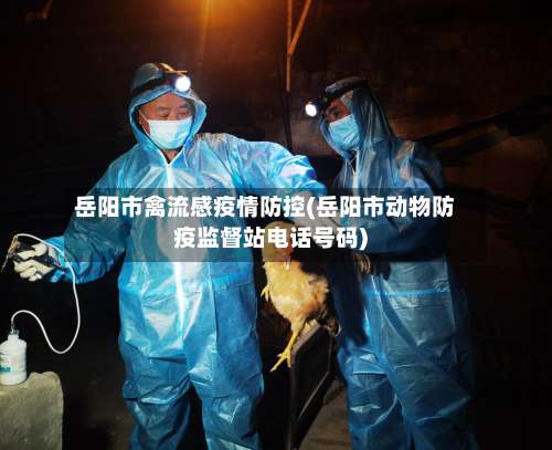 岳阳市禽流感疫情防控(岳阳市动物防疫监督站电话号码)-第2张图片