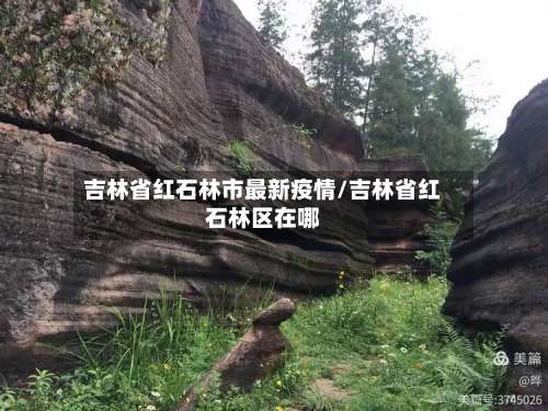 吉林省红石林市最新疫情/吉林省红石林区在哪-第3张图片