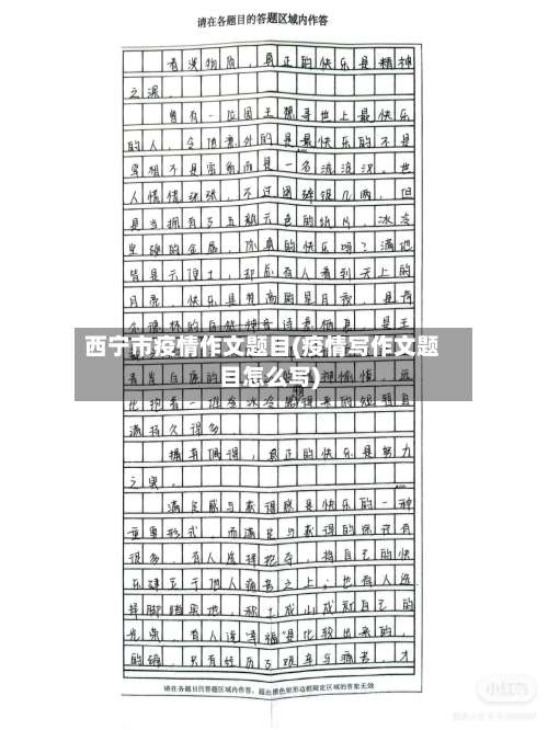 西宁市疫情作文题目(疫情写作文题目怎么写)-第3张图片