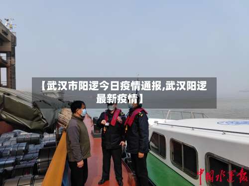 【武汉市阳逻今日疫情通报,武汉阳逻最新疫情】-第1张图片