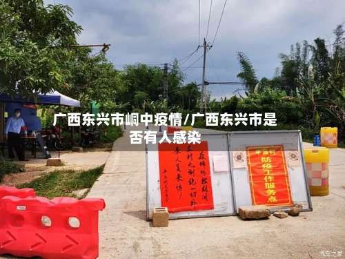 广西东兴市峒中疫情/广西东兴市是否有人感染-第3张图片