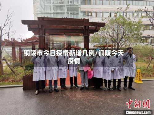 铜陵市今日疫情新增几例/铜陵今天疫情-第1张图片