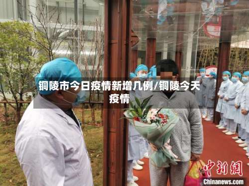 铜陵市今日疫情新增几例/铜陵今天疫情-第2张图片