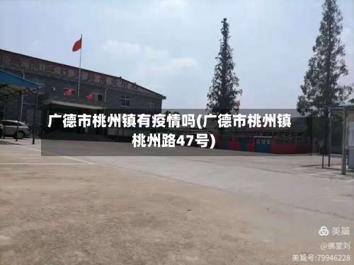 广德市桃州镇有疫情吗(广德市桃州镇桃州路47号)-第2张图片