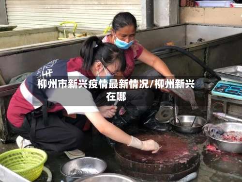 柳州市新兴疫情最新情况/柳州新兴在哪-第2张图片