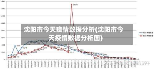 沈阳市今天疫情数据分析(沈阳市今天疫情数据分析图)-第1张图片