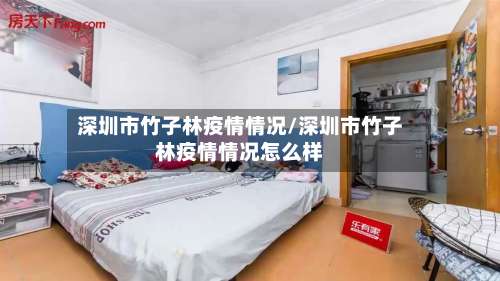 深圳市竹子林疫情情况/深圳市竹子林疫情情况怎么样-第2张图片