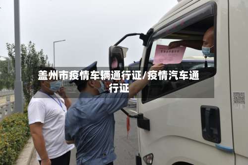 盖州市疫情车辆通行证/疫情汽车通行证-第3张图片