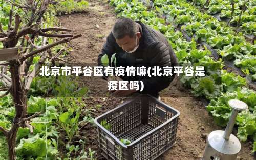北京市平谷区有疫情嘛(北京平谷是疫区吗)-第1张图片