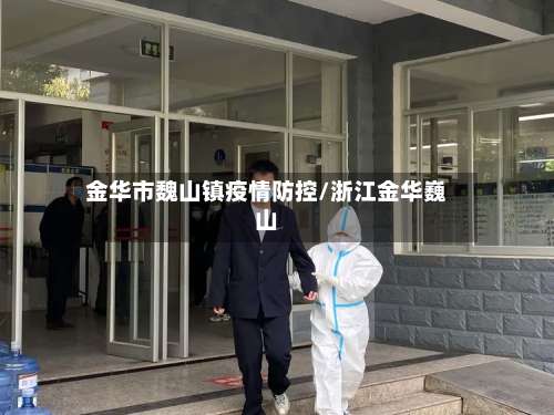 金华市魏山镇疫情防控/浙江金华巍山-第3张图片