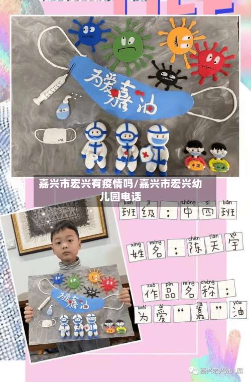 嘉兴市宏兴有疫情吗/嘉兴市宏兴幼儿园电话-第1张图片