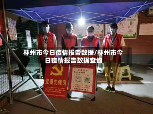 林州市今日疫情报告数据/林州市今日疫情报告数据查询-第3张图片