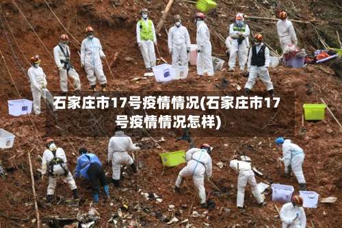 石家庄市17号疫情情况(石家庄市17号疫情情况怎样)-第1张图片