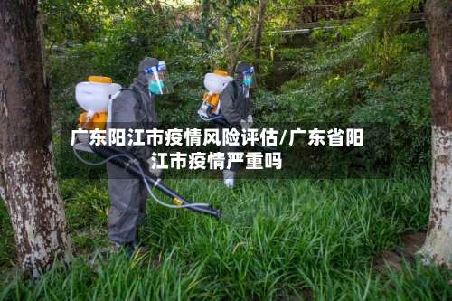 广东阳江市疫情风险评估/广东省阳江市疫情严重吗-第1张图片