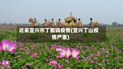 近来宜兴市丁蜀镇疫情(宜兴丁山疫情严重)-第2张图片