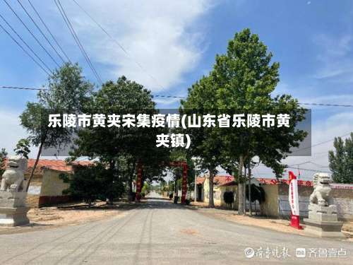 乐陵市黄夹宋集疫情(山东省乐陵市黄夹镇)-第2张图片