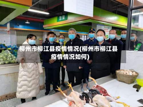 柳州市柳江县疫情情况(柳州市柳江县疫情情况如何)-第1张图片