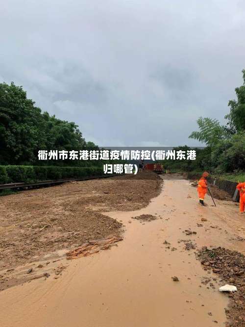 衢州市东港街道疫情防控(衢州东港归哪管)-第1张图片