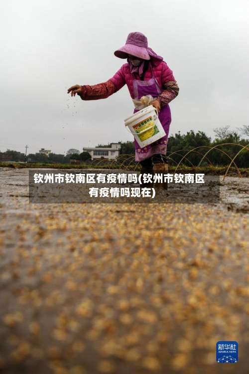 钦州市钦南区有疫情吗(钦州市钦南区有疫情吗现在)-第2张图片