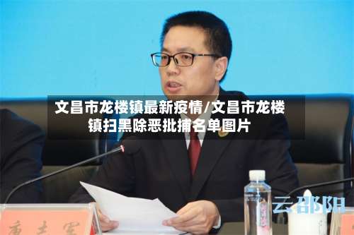 文昌市龙楼镇最新疫情/文昌市龙楼镇扫黑除恶批捕名单图片-第1张图片