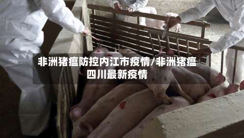 非洲猪瘟防控内江市疫情/非洲猪瘟四川最新疫情-第3张图片