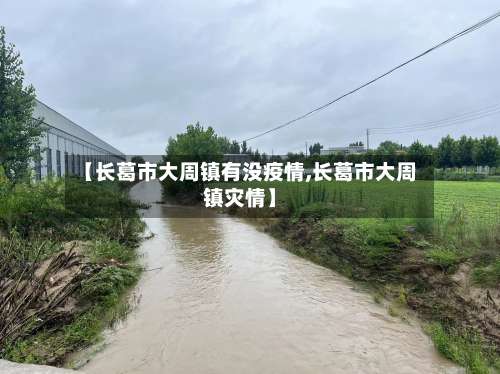 【长葛市大周镇有没疫情,长葛市大周镇灾情】-第1张图片