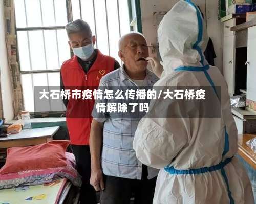 大石桥市疫情怎么传播的/大石桥疫情解除了吗-第1张图片