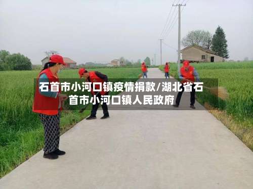 石首市小河口镇疫情捐款/湖北省石首市小河口镇人民政府-第1张图片