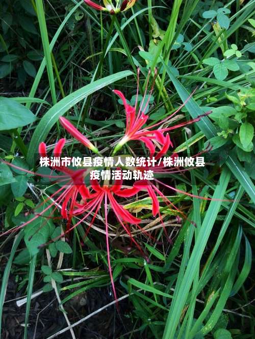 株洲市攸县疫情人数统计/株洲攸县疫情活动轨迹-第1张图片