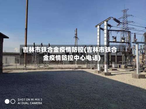 吉林市铁合金疫情防控(吉林市铁合金疫情防控中心电话)-第3张图片