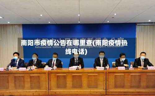 南阳市疫情公告在哪里查(南阳疫情热线电话)-第1张图片