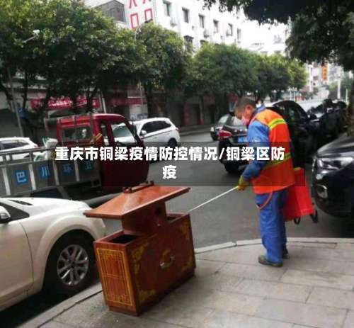 重庆市铜梁疫情防控情况/铜梁区防疫-第1张图片