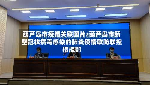 葫芦岛市疫情关联图片/葫芦岛市新型冠状病毒感染的肺炎疫情联防联控指挥部-第3张图片
