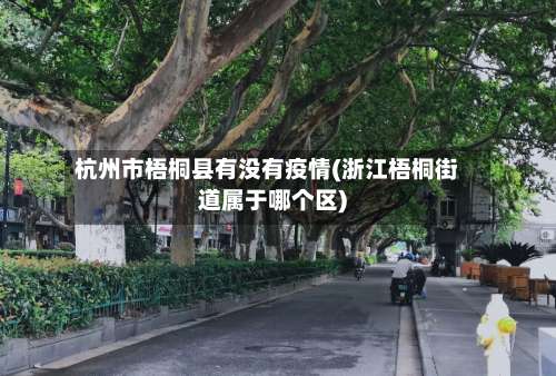 杭州市梧桐县有没有疫情(浙江梧桐街道属于哪个区)-第1张图片
