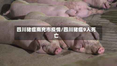 四川猪瘟南充市疫情/四川猪瘟9人死亡-第1张图片