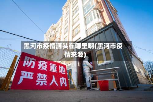 黑河市疫情源头在哪里啊(黑河市疫情来源)-第1张图片