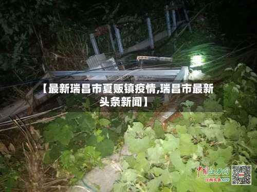 【最新瑞昌市夏贩镇疫情,瑞昌市最新头条新闻】-第2张图片