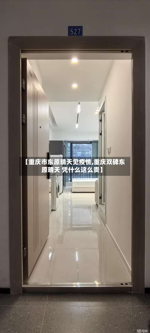 【重庆市东原晴天见疫情,重庆双碑东原晴天 凭什么这么贵】-第2张图片